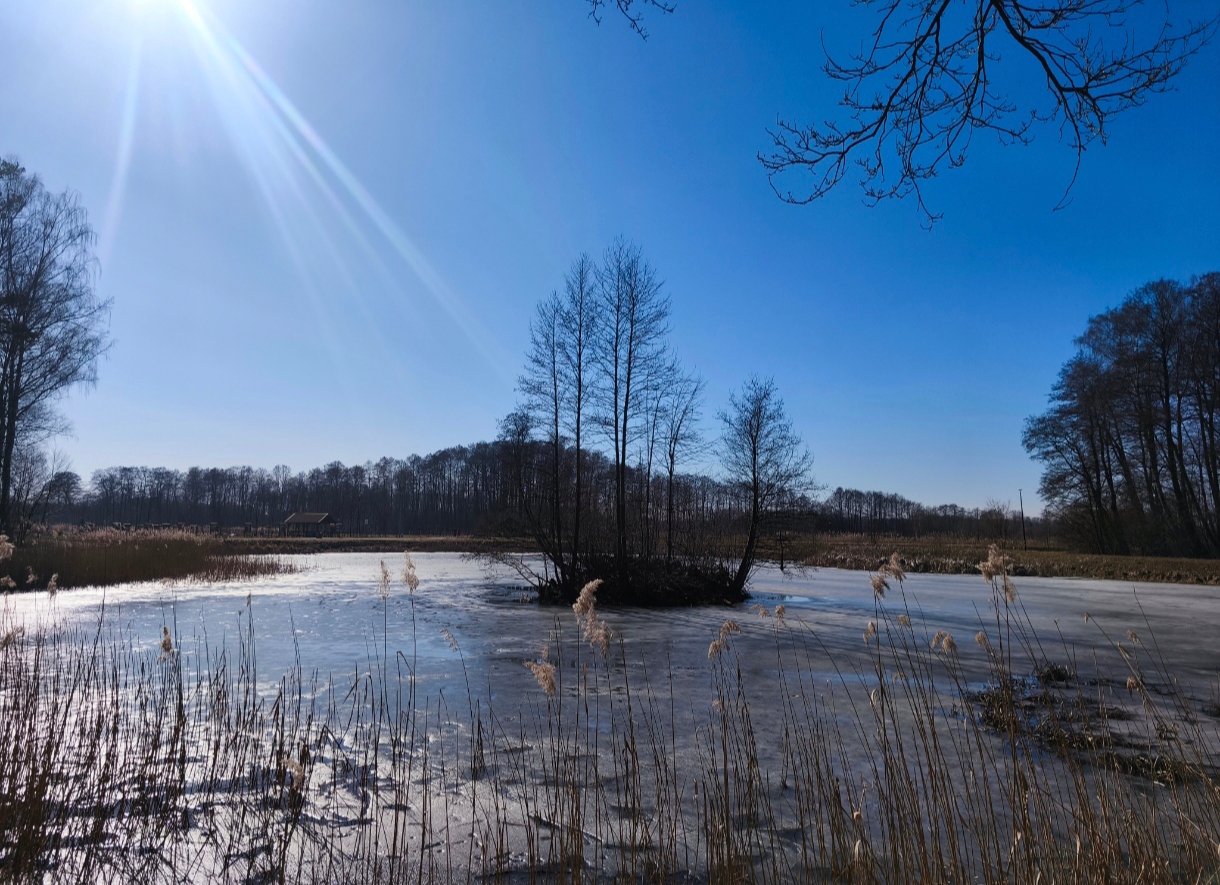 AB923AF8-C8FF-4EEC-6732-E8228B8CD793.jpg (1220×885)