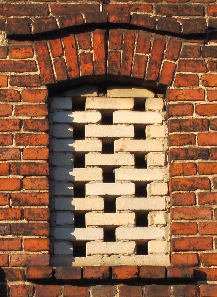 0A220269-04F5-C839-6A0C-E521F4B3C47B.JPG