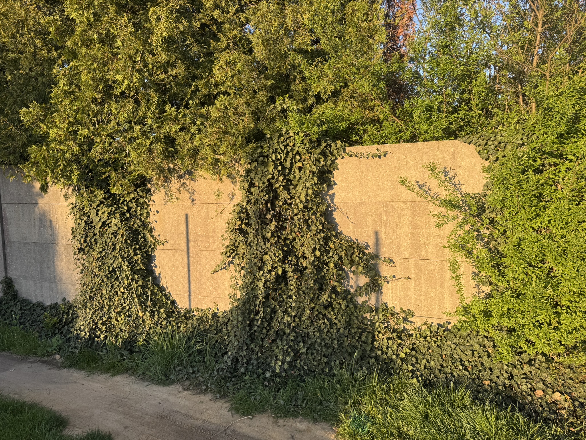 BD9AE0DC-338E-C8AE-6B08-2B07194C1F69.JPEG