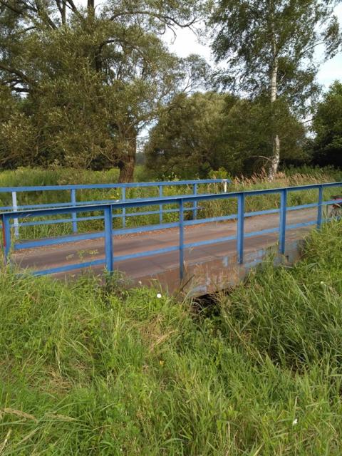 Mostek na rzece Chełszcząca zbierającej wodę z okolicznych łąk.