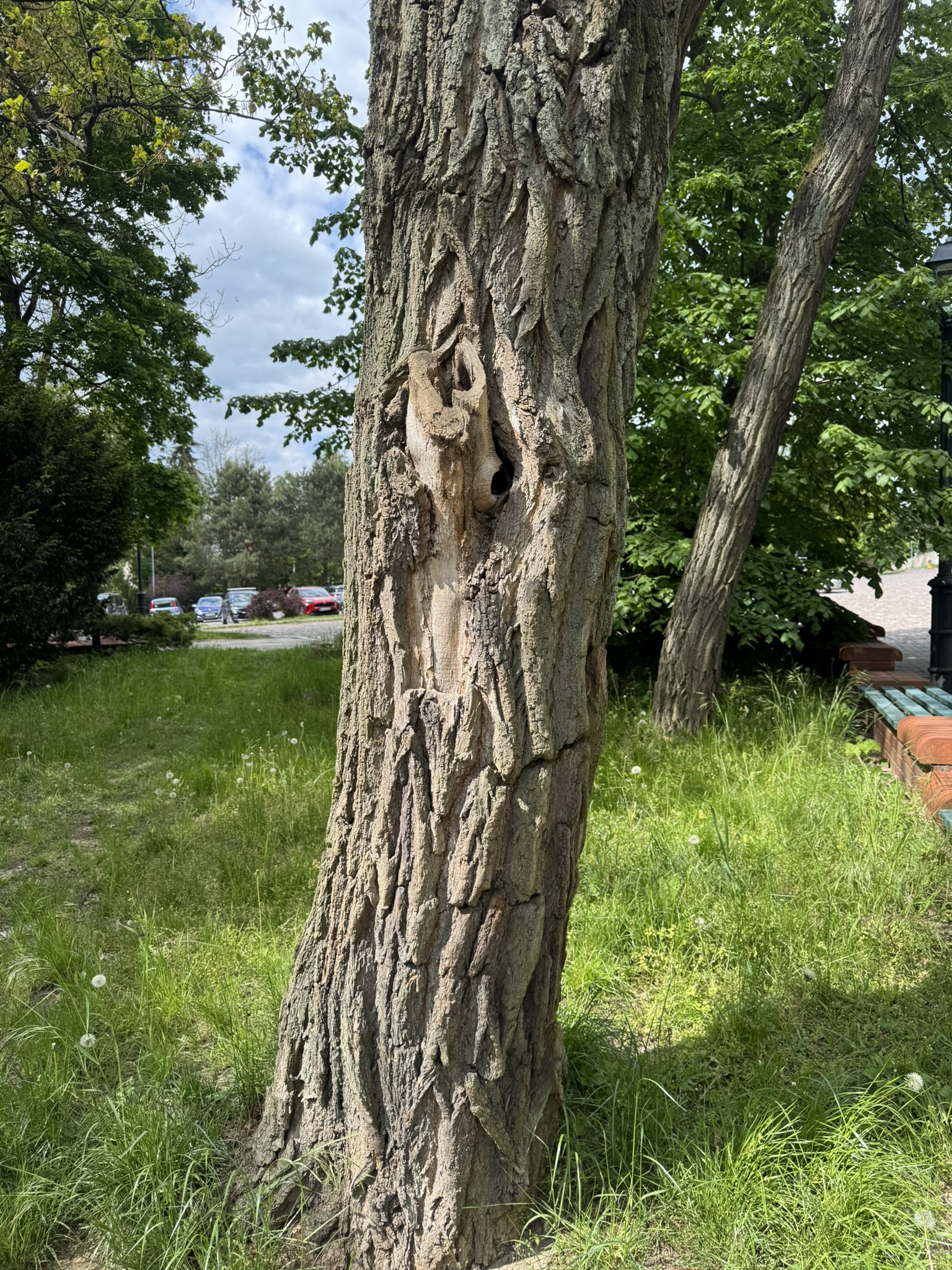 F7631350-E5F5-AC65-CEFA-7A97CEE4A389.JPEG