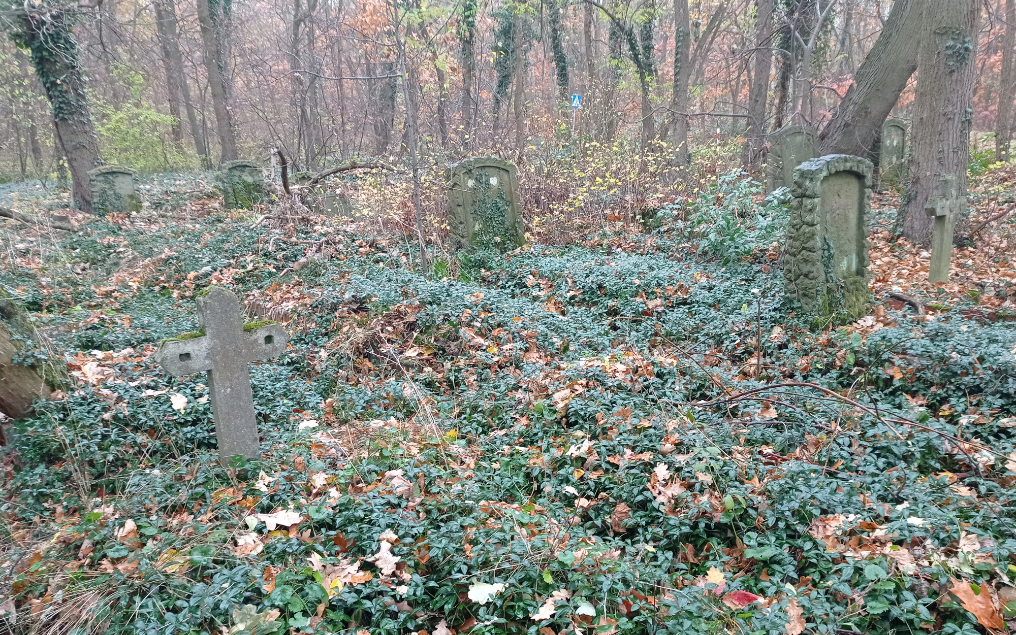 Panorama cmentarza